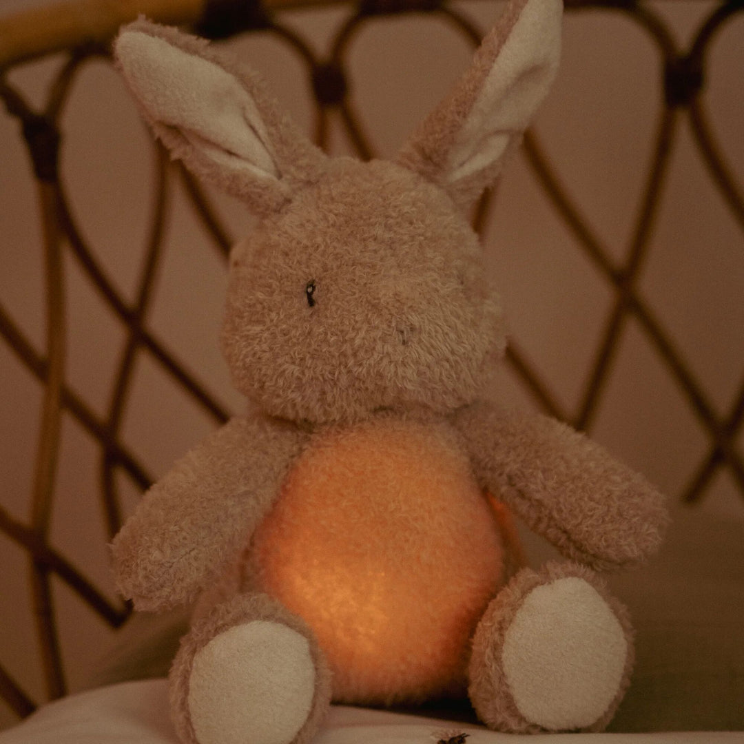 Little Dutch Cuddle Baby Bunny Light &amp; Sound – Newborn Naturals