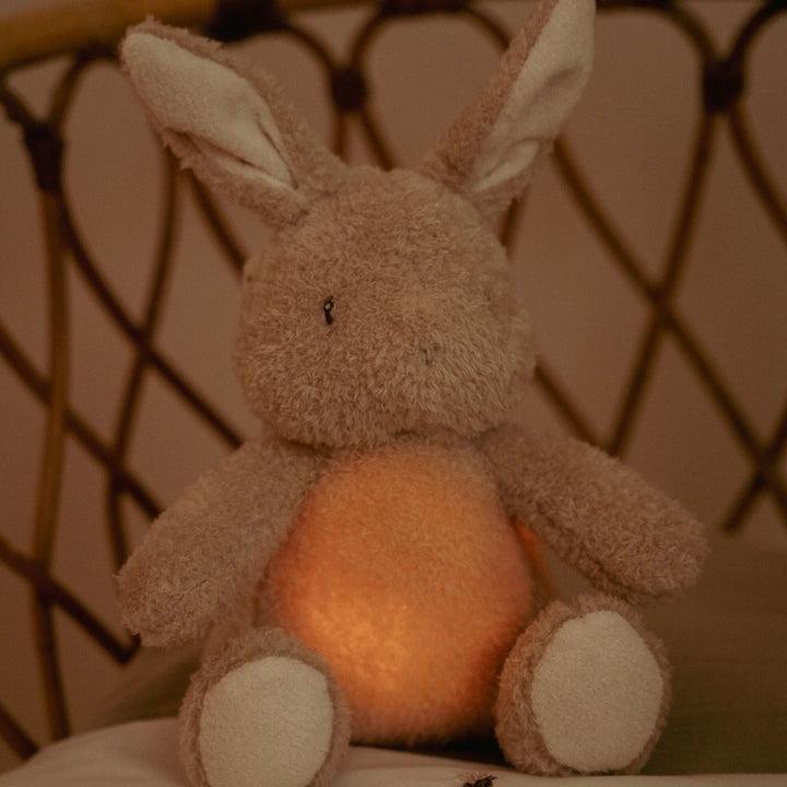 Little Dutch Cuddle Baby Bunny Light &amp; Sound – Newborn Naturals