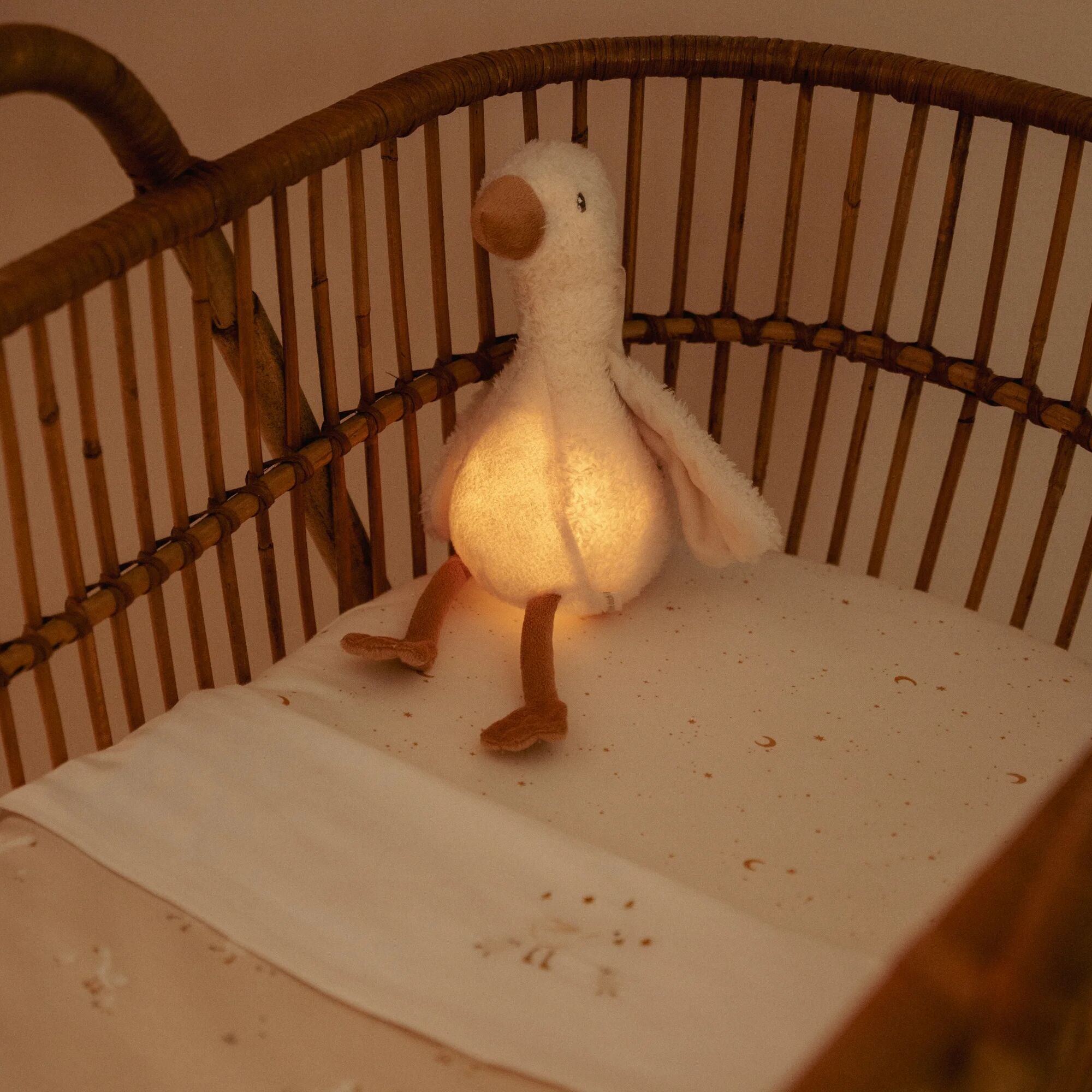 Little Dutch Cuddle Little Goose Light & Sound – Newborn Naturals