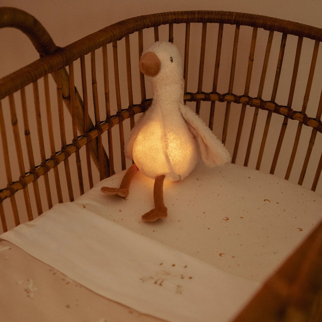 Little Dutch Cuddle Little Goose Light &amp; Sound – Newborn Naturals