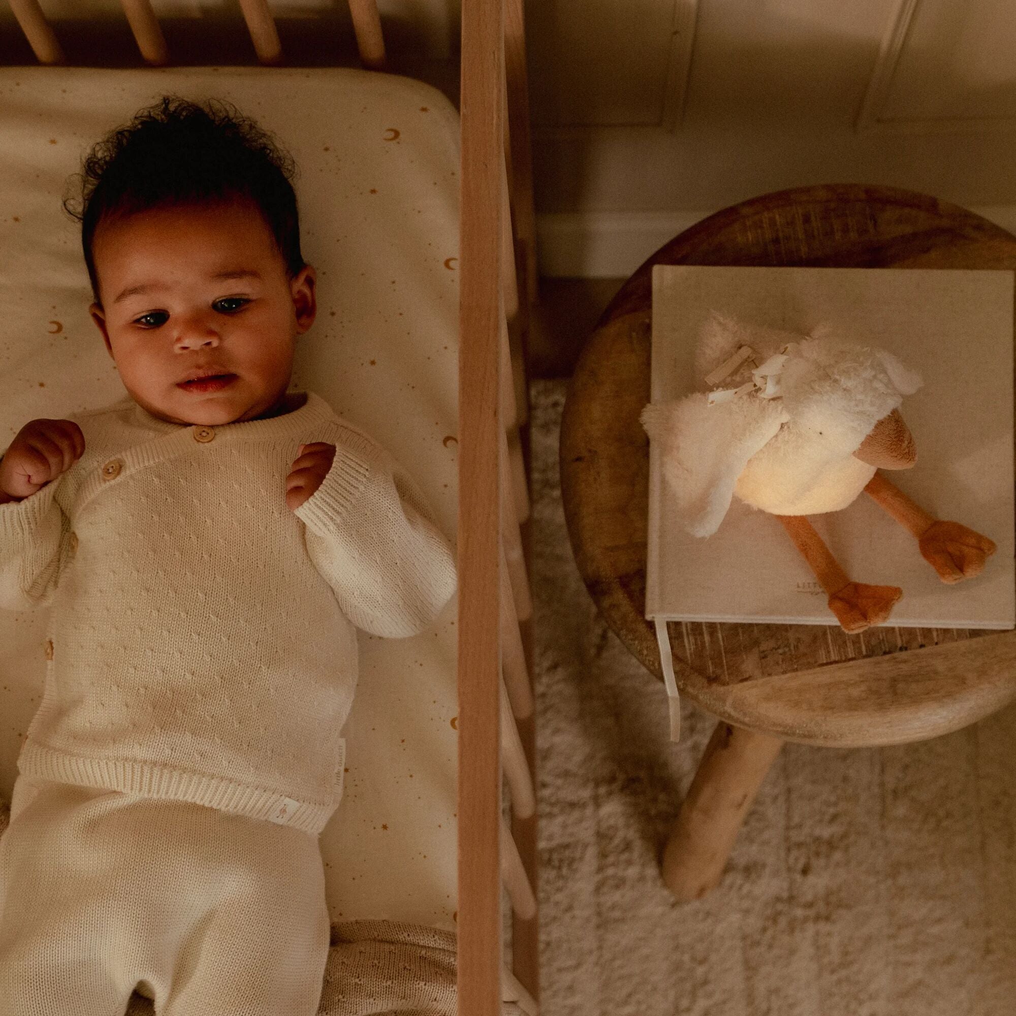 Little Dutch Cuddle Little Goose Light & Sound – Newborn Naturals