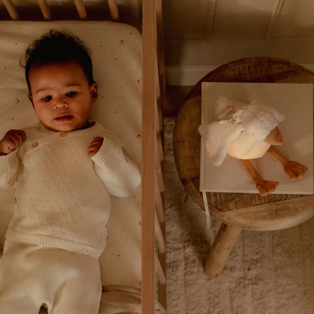 Little Dutch Cuddle Little Goose Light &amp; Sound – Newborn Naturals