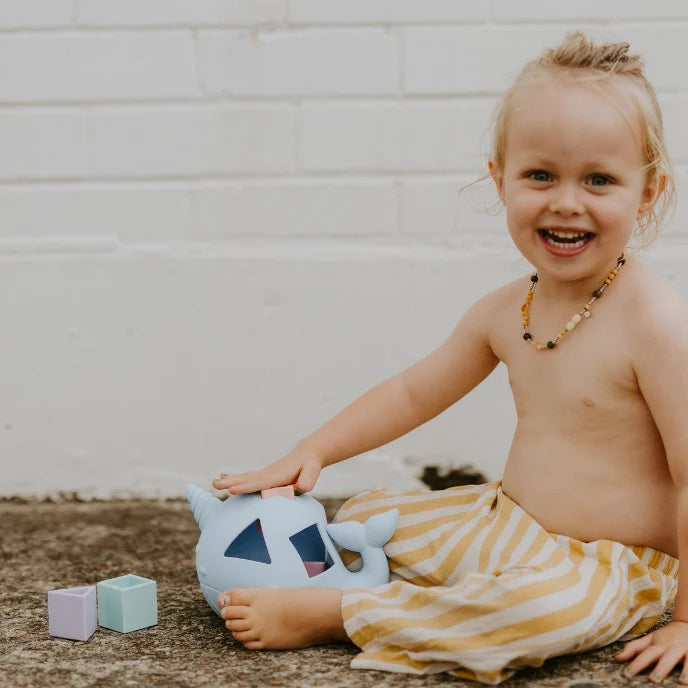 Jellystone™ Designs Narwhal Shape Sorter
