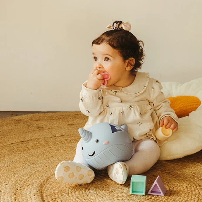 Jellystone™ Designs Narwhal Shape Sorter