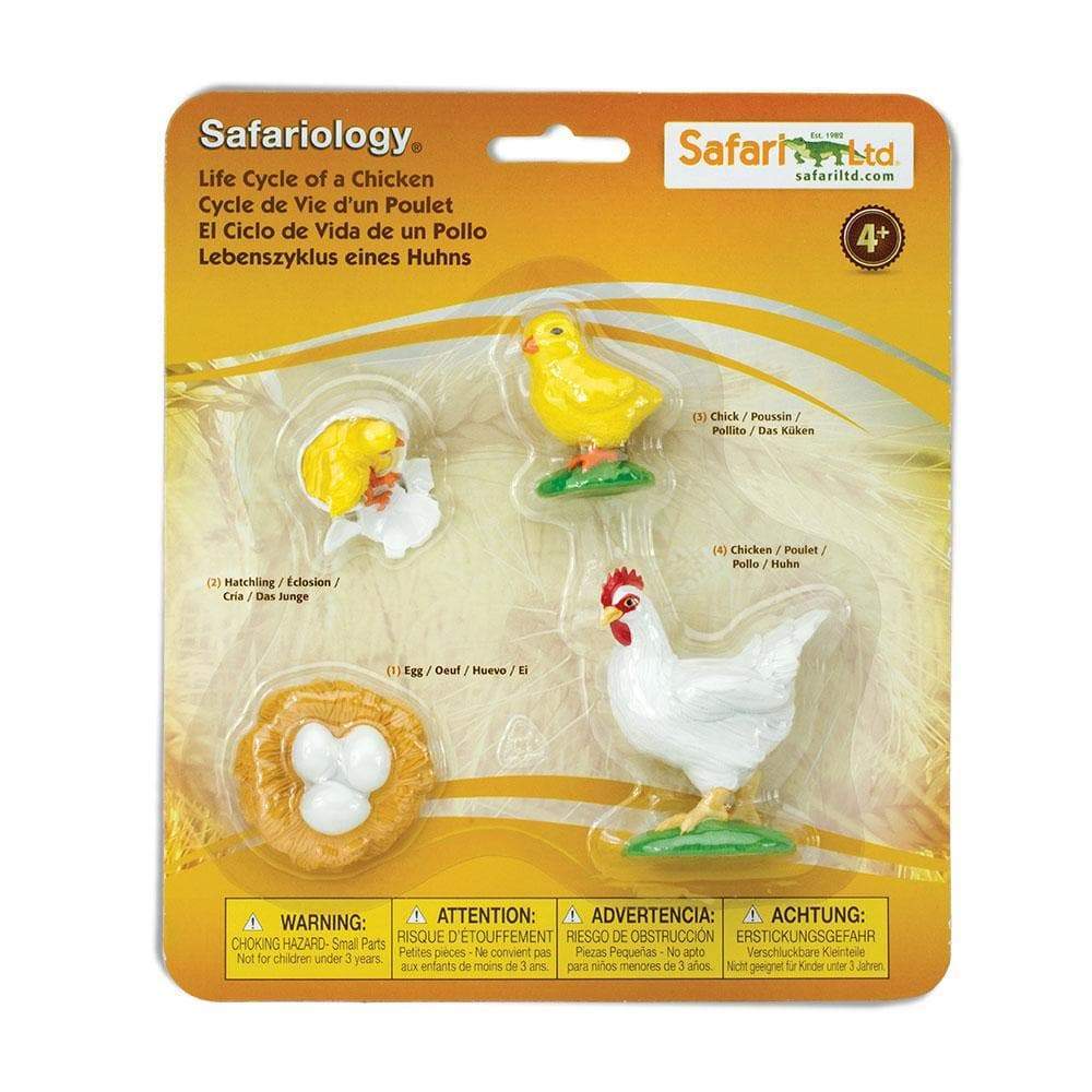 Safari Ltd Safariology® – Life Cycle Of A Chicken
