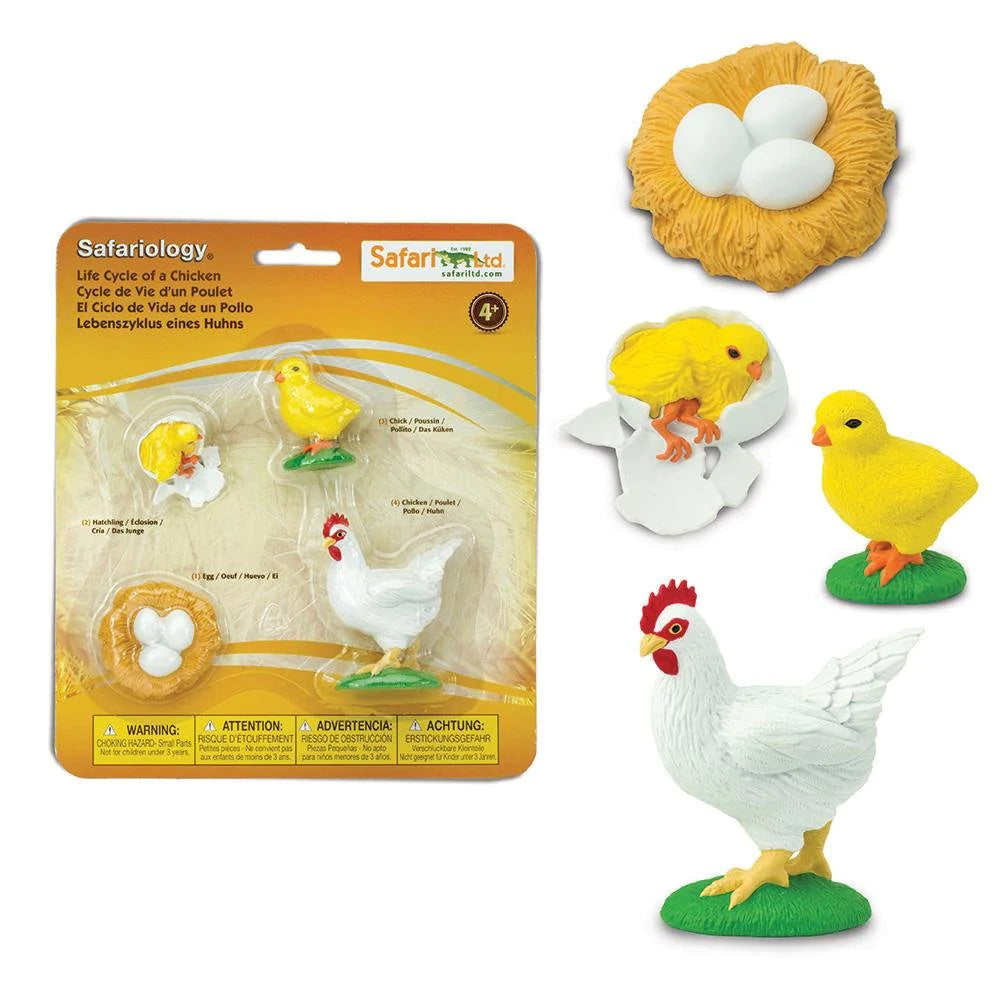 Safari Ltd Safariology® – Life Cycle Of A Chicken