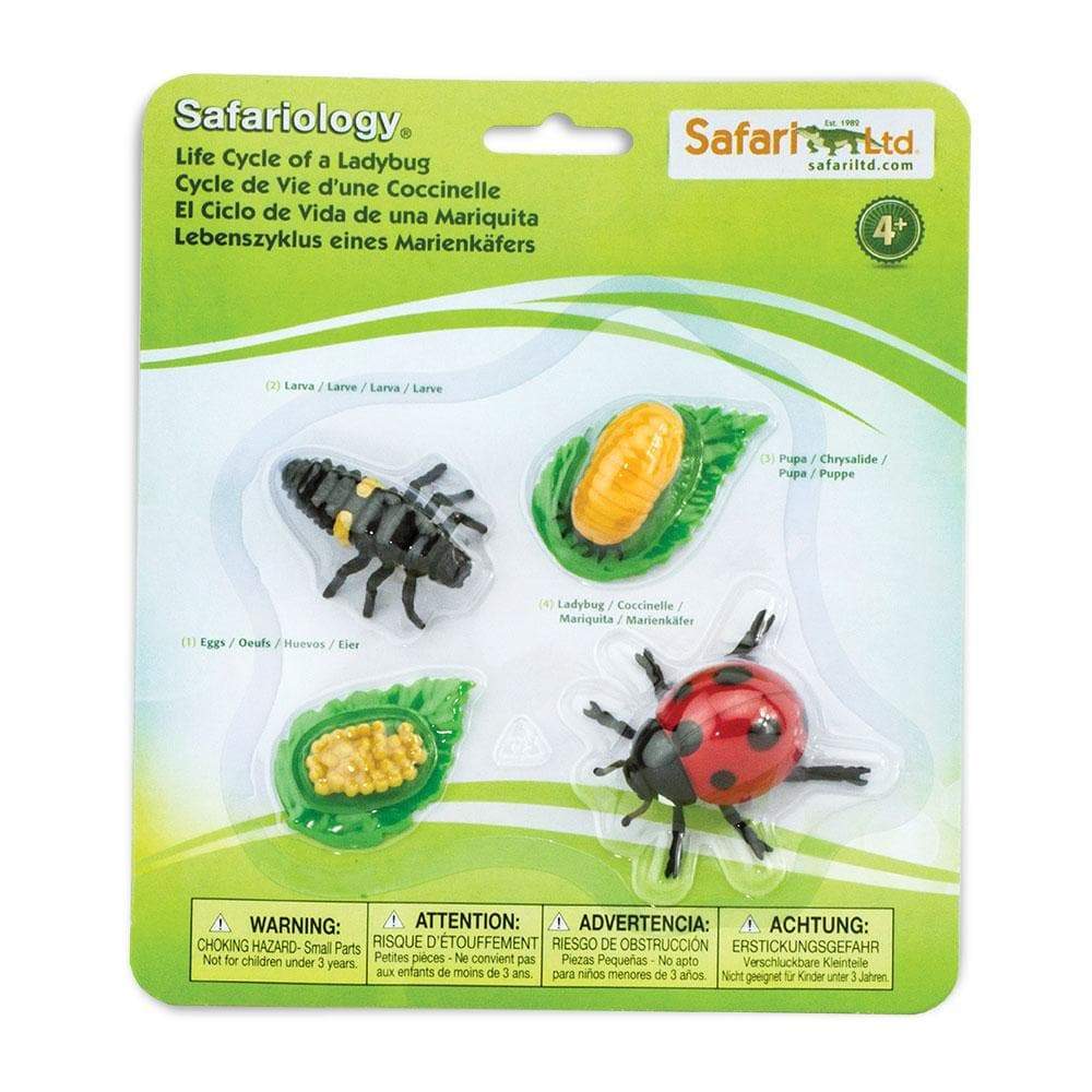 Safari Ltd Safariology® – Life Cycle Of A Ladybug
