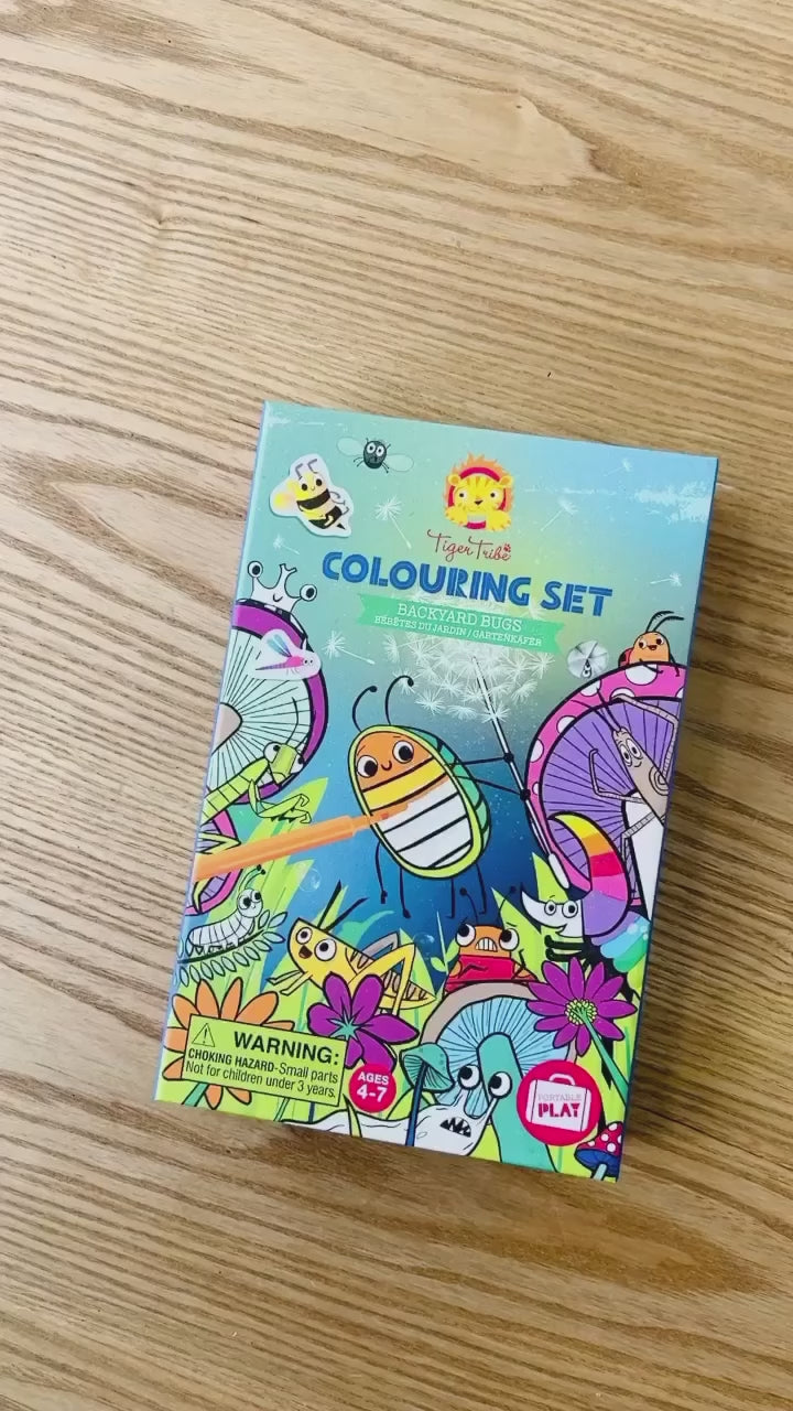 Tiger Tribe Colouring Set – Backyard Bugs