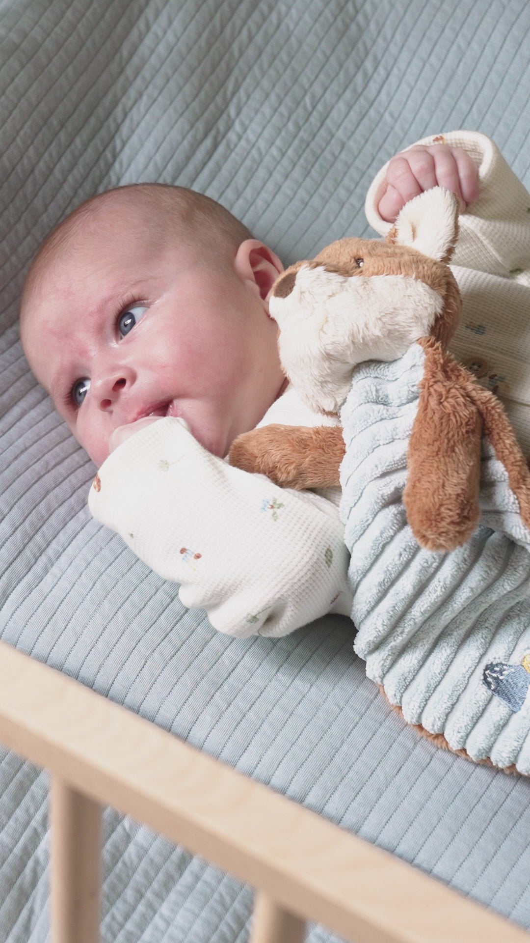 Little Dutch Cuddle Cloth Fox – Forest Friends