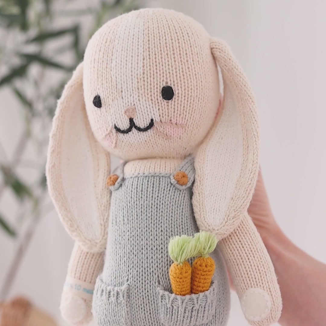 Cuddle + Kind Henry the Bunny