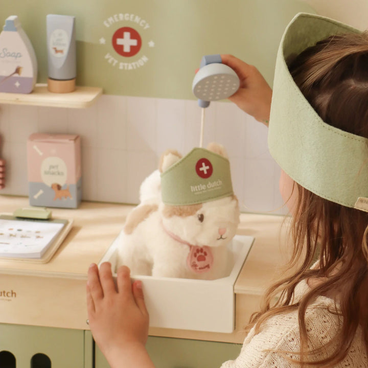 Little Dutch Wooden Veterinary Practice