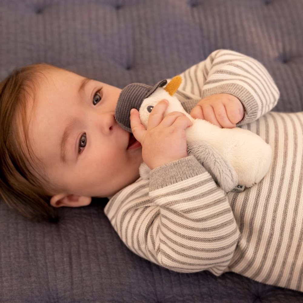 Little Dutch Squeaker – Seagull