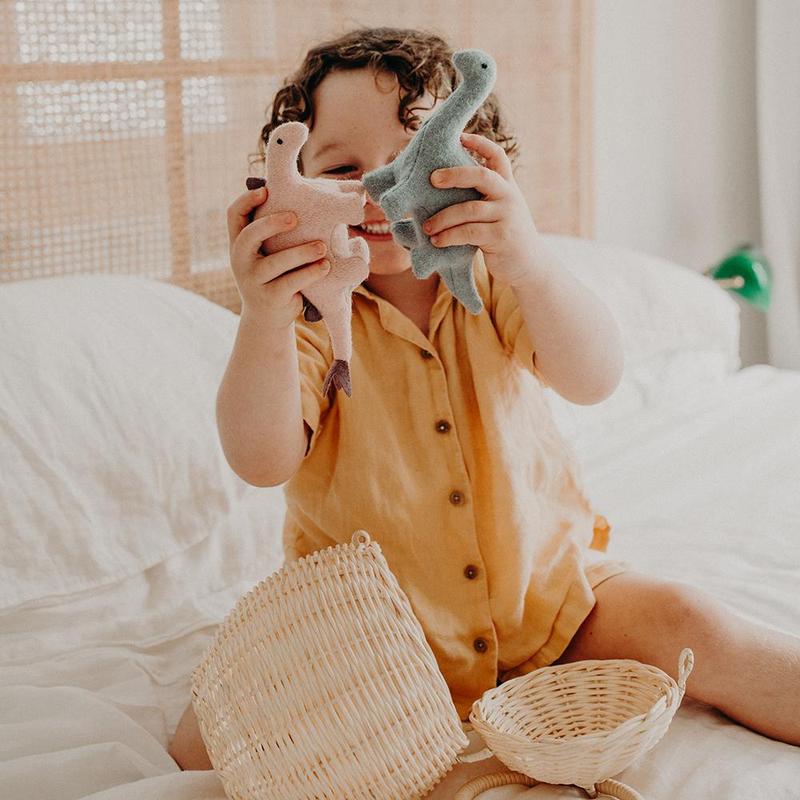 Olli Ella Holdie Set – Dinosaurs