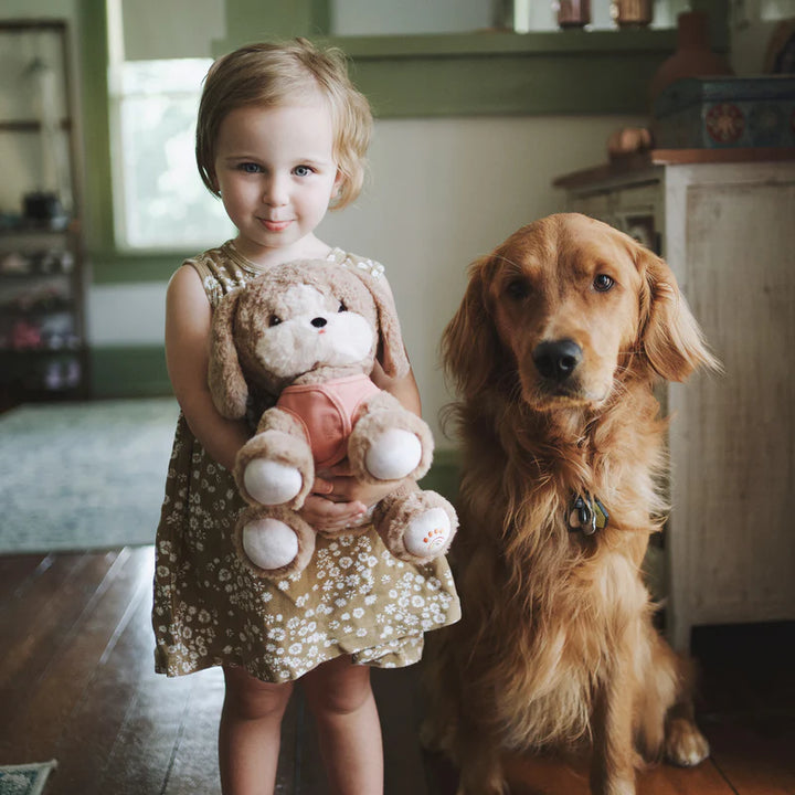 Olli Ella Dinkum Dog – Honey